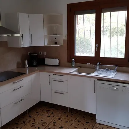 Spacious House With Garden In Downtown